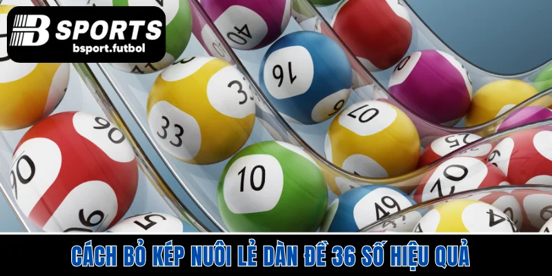 Cách bỏ kép nuôi lẻ dàn đề 36 số hiệu quả